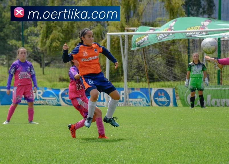 App界面